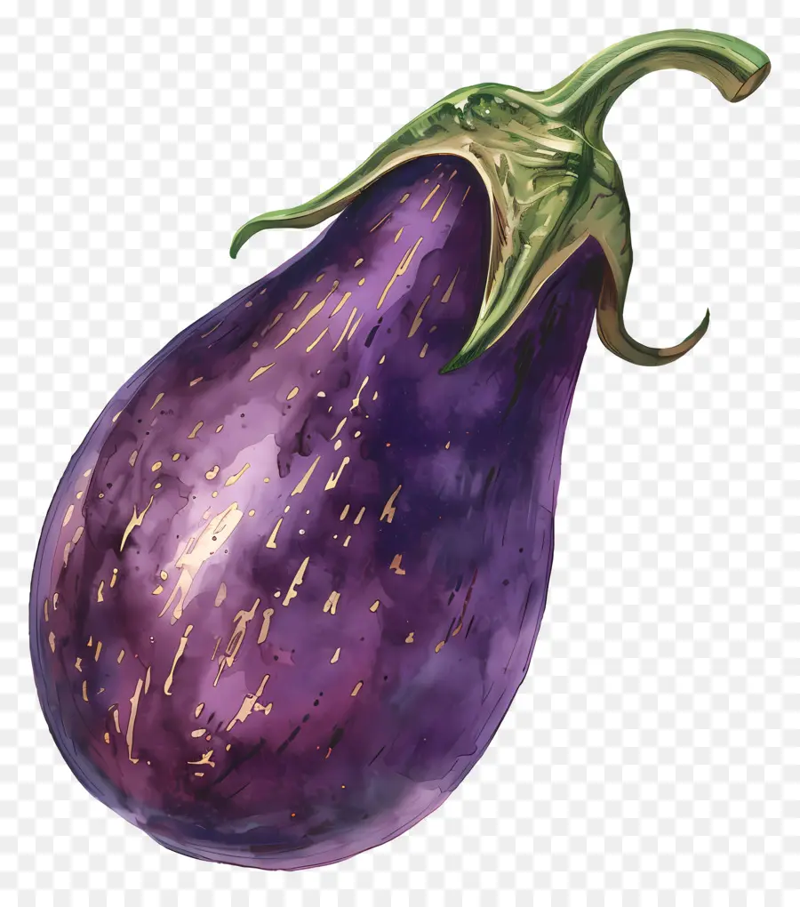 Berinjela，Aubergine PNG