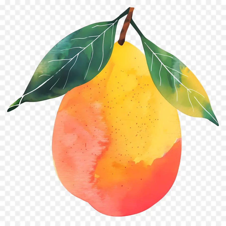 Mango，Ripe PNG