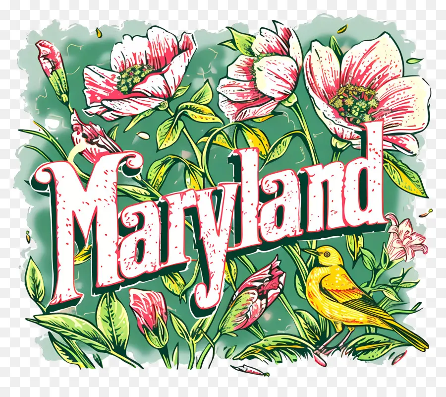Maryland，Pintado à Mão PNG