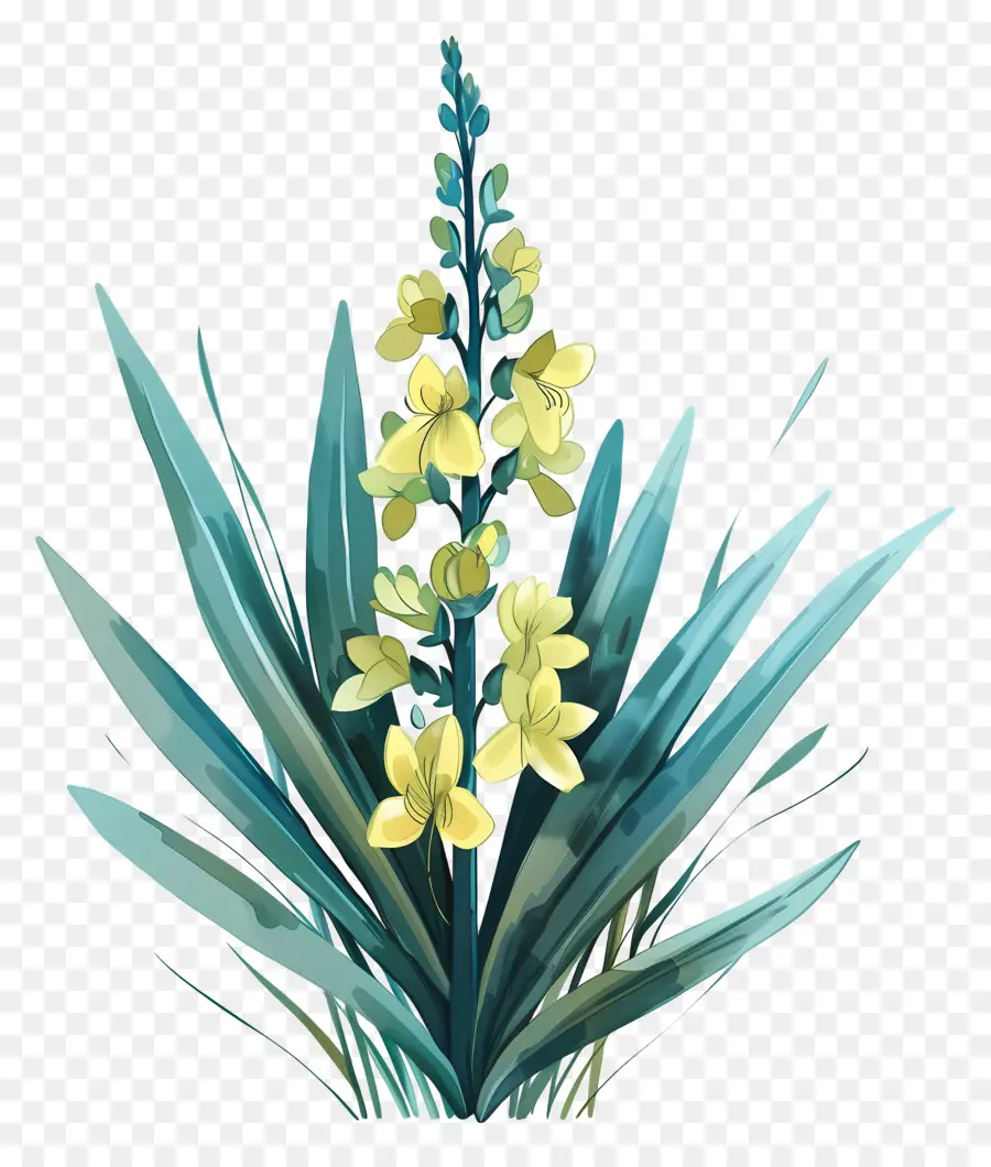 Yucca，Flor Amarela PNG