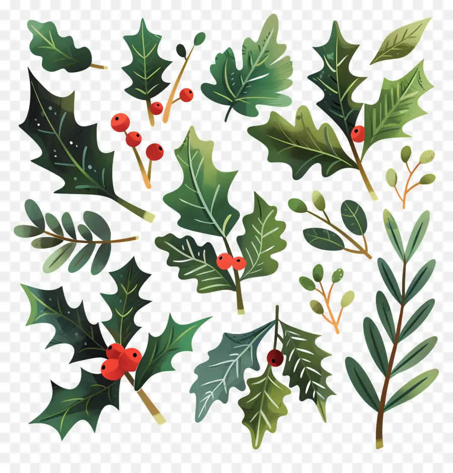Holly，Holly Folhas PNG