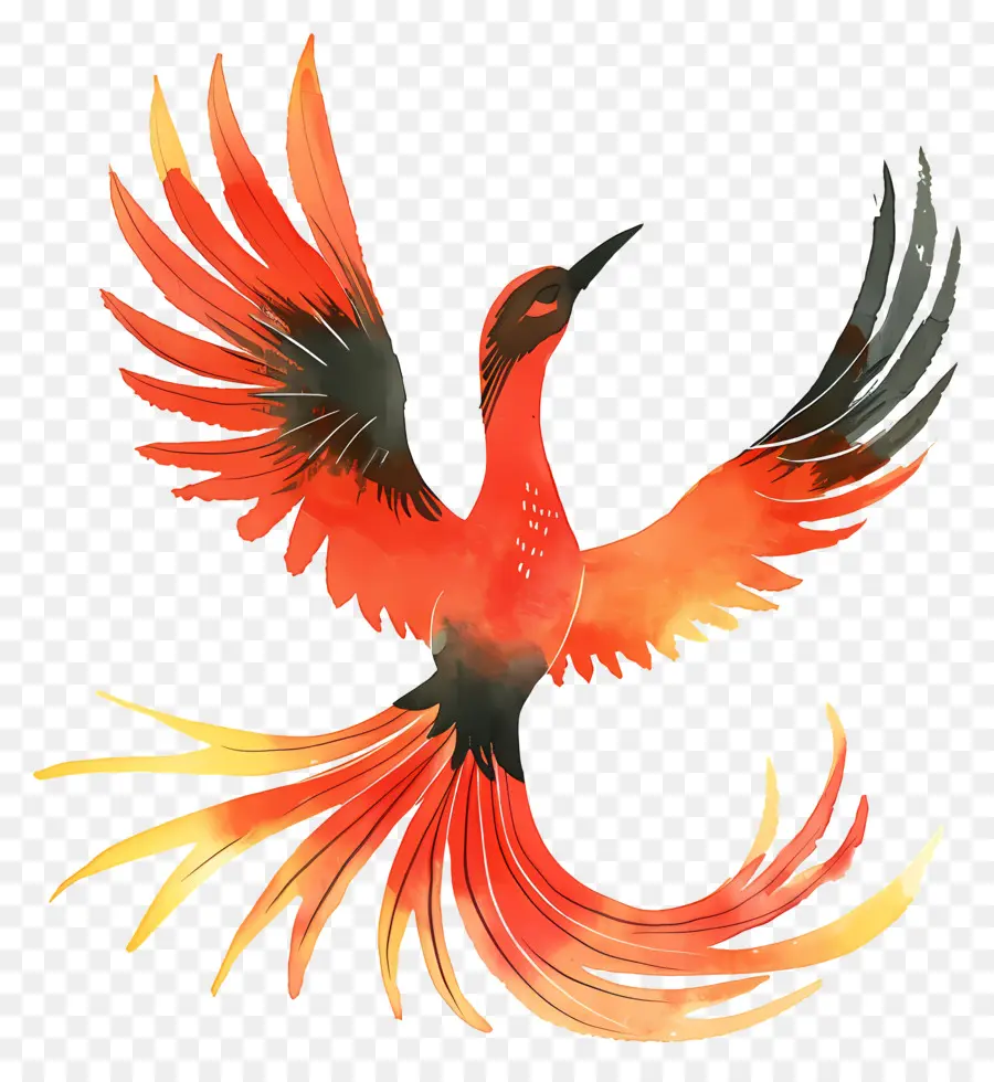 Phoenix，Pássaro Vermelho PNG