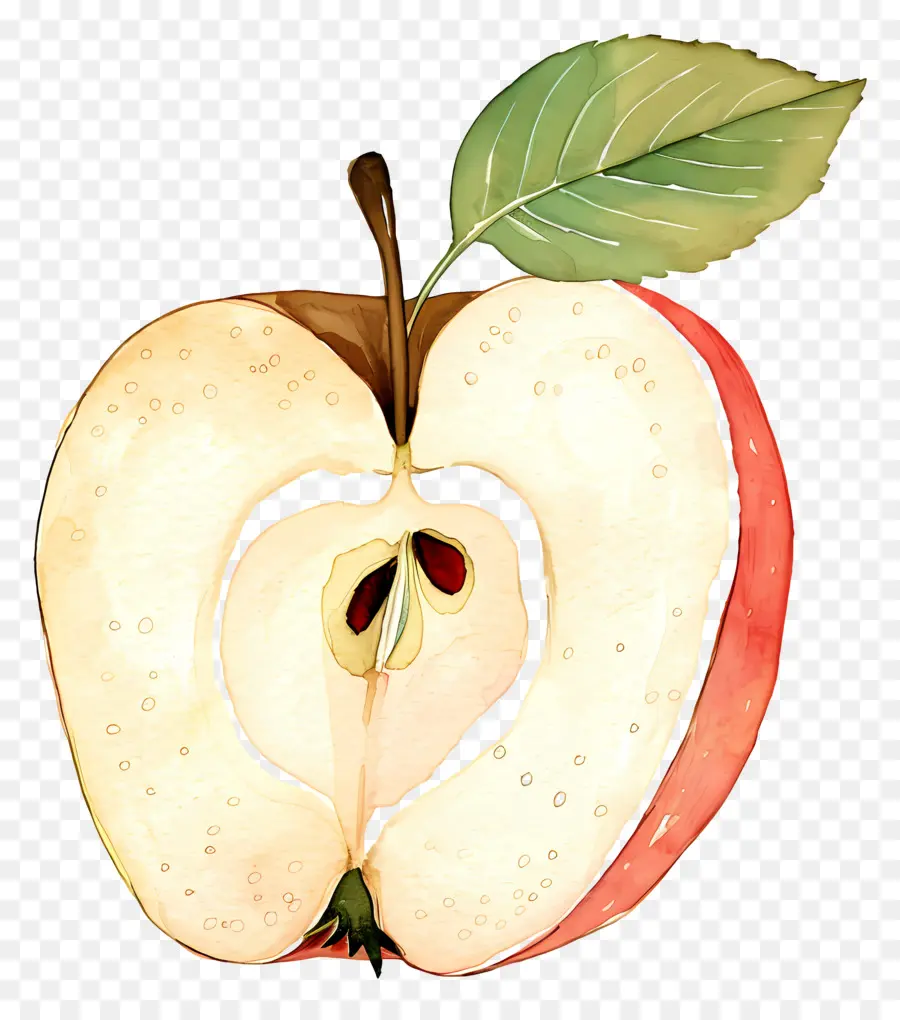 A Fatia Da Apple，Metade Da Apple PNG