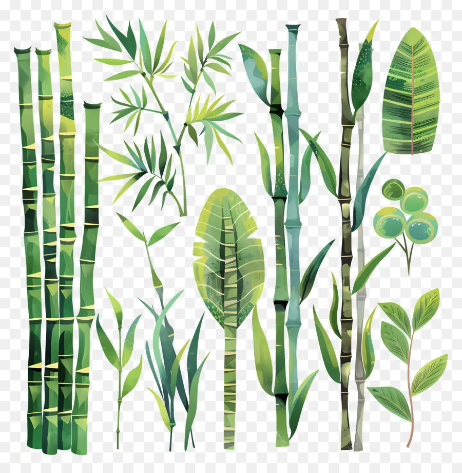 Bambu，Pintura Em Aquarela PNG
