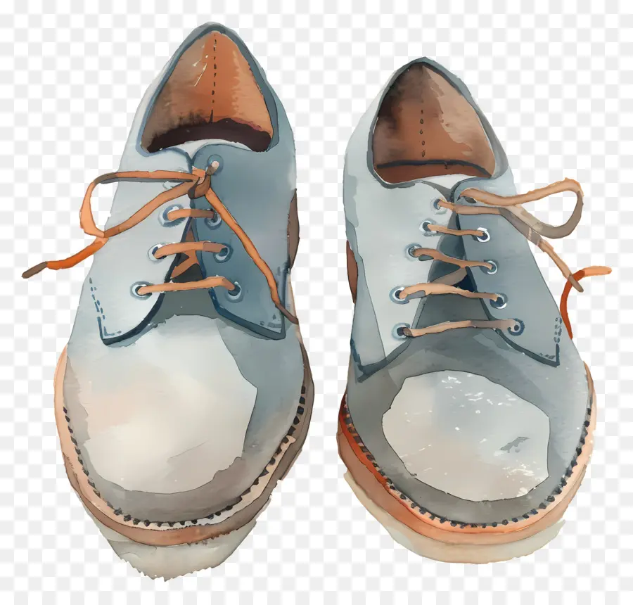 Sapatos，Aquarela Sapatos PNG