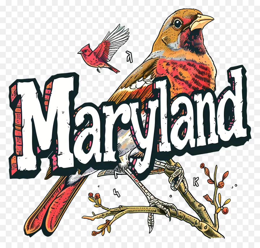 Maryland，Vermelho Cardeal Pássaro PNG
