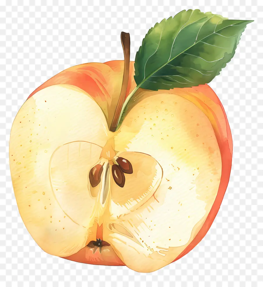 A Fatia Da Apple，Metade Da Apple PNG