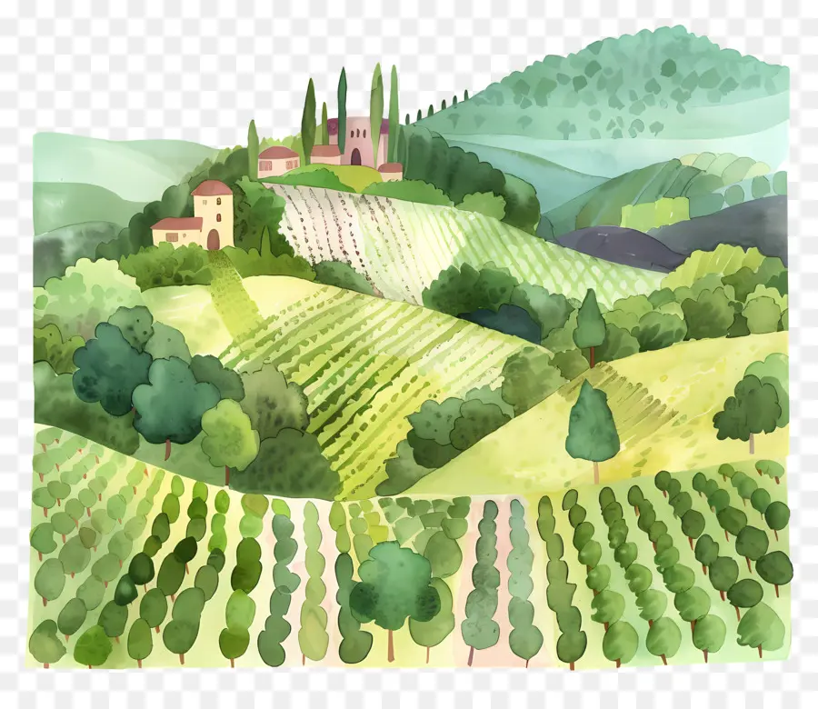 Vineyard，Pintura Em Aquarela PNG