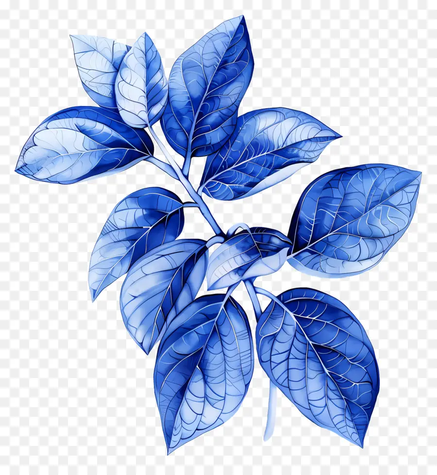 Folha Azul，Folhas Azuis PNG