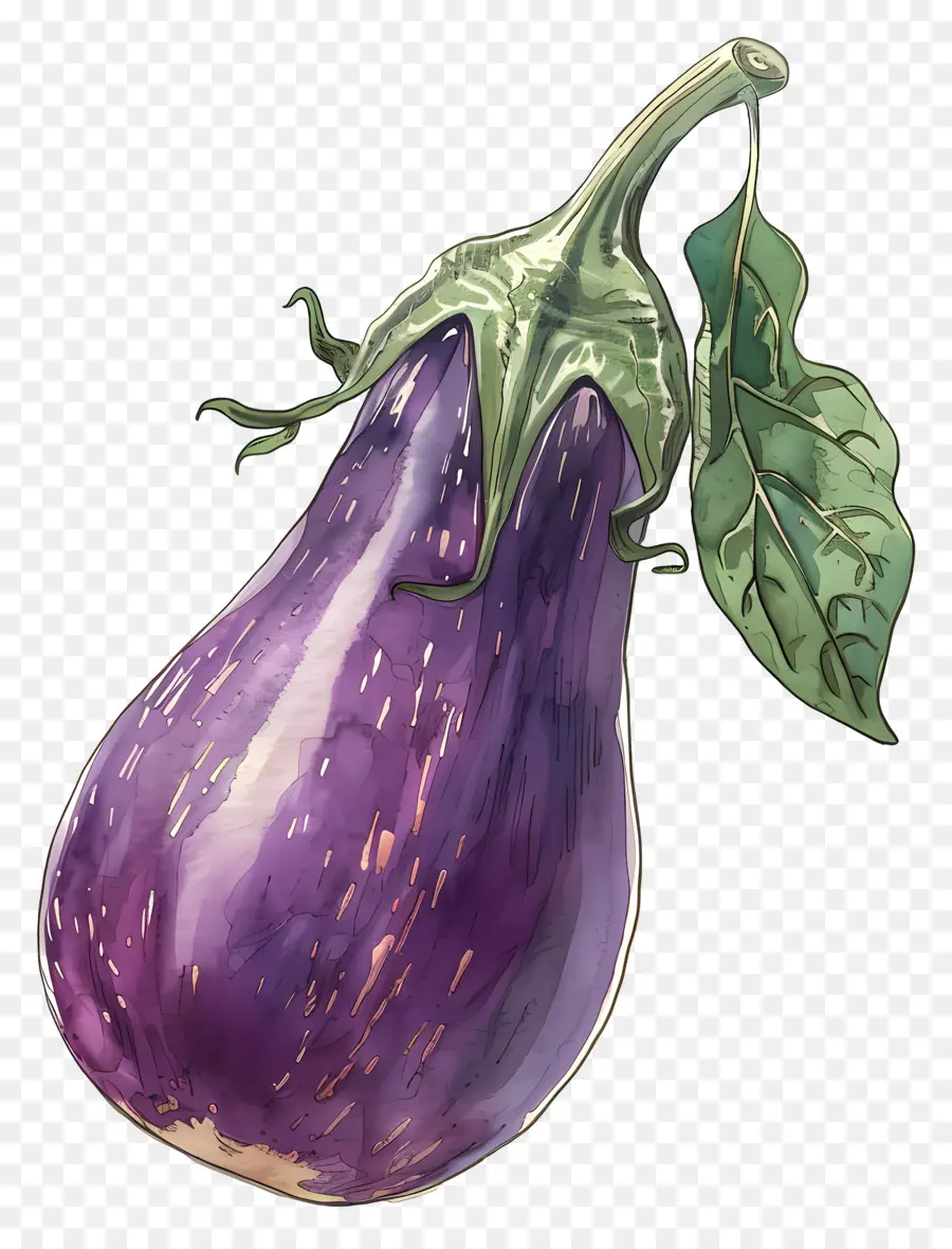 Beringela，Roxo PNG