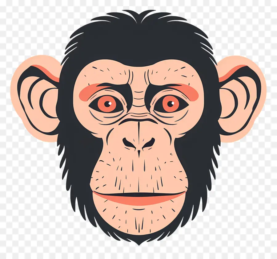 Cabeça De Macaco，Chimpanzé PNG