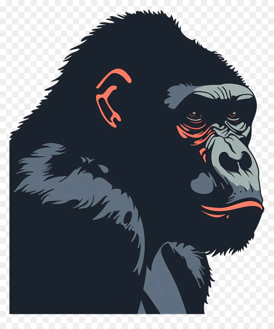 Cartoon Gorila，Gorila PNG