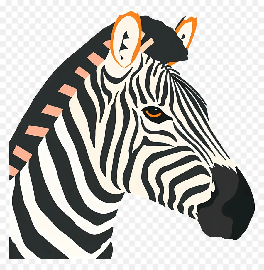 Cabeça De Zebra，Listras PNG