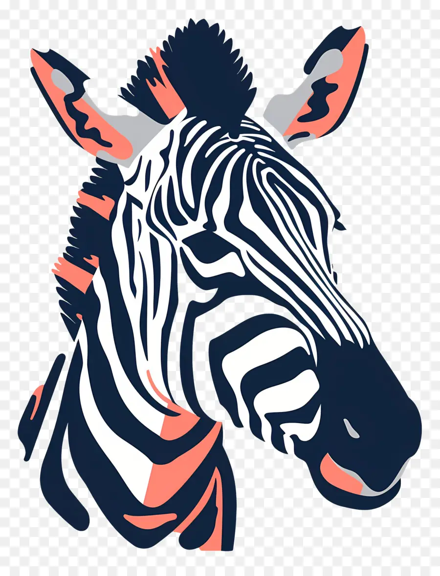 Zebra De Descarga，Zebra PNG