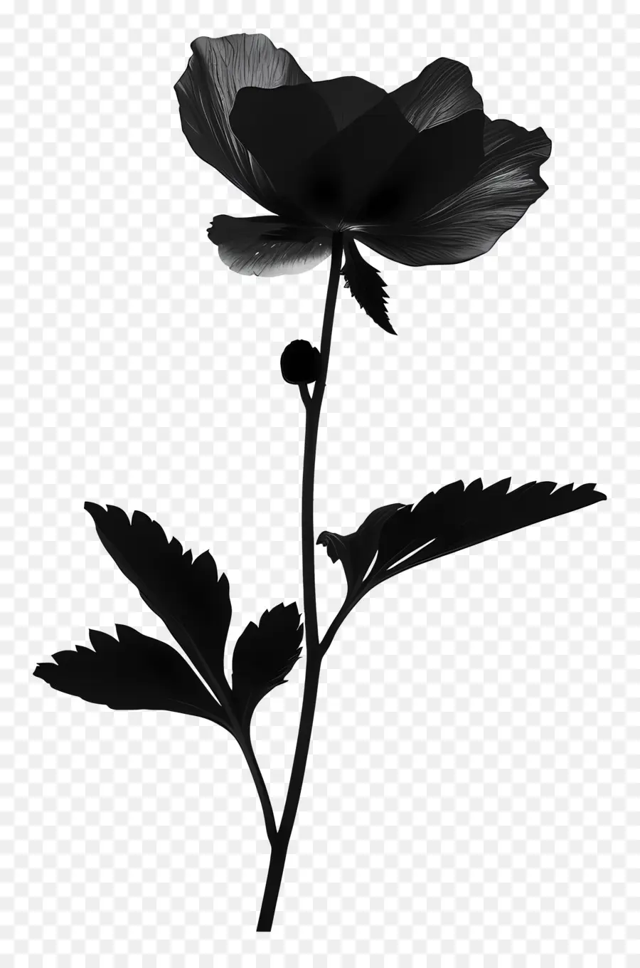 Silhueta De Flor，Flor Negra PNG