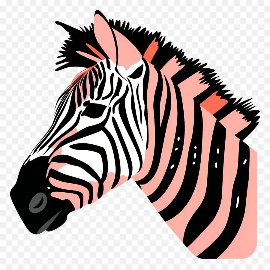 Cabeça De Zebra，Zebra PNG