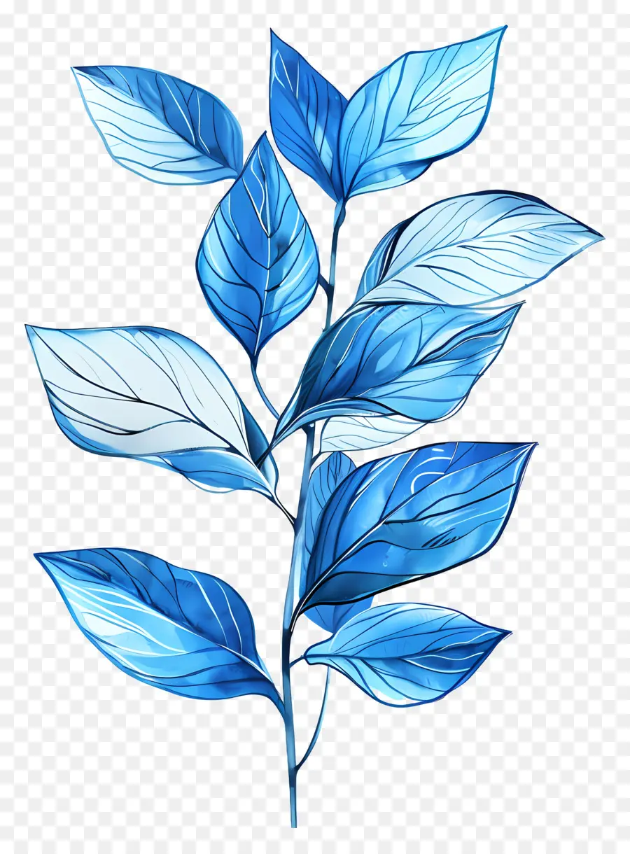 Azul Da Folha，Listras Brancas PNG