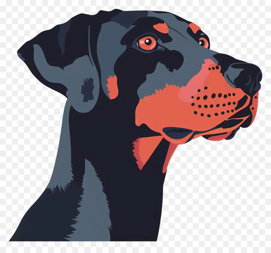 Cabeça De Cachorro，Perfil De Cachorro PNG