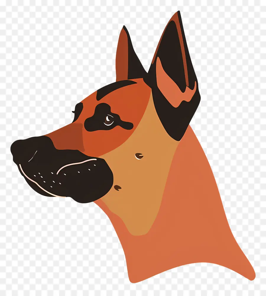 Cabeça De Cachorro，Cachorro PNG