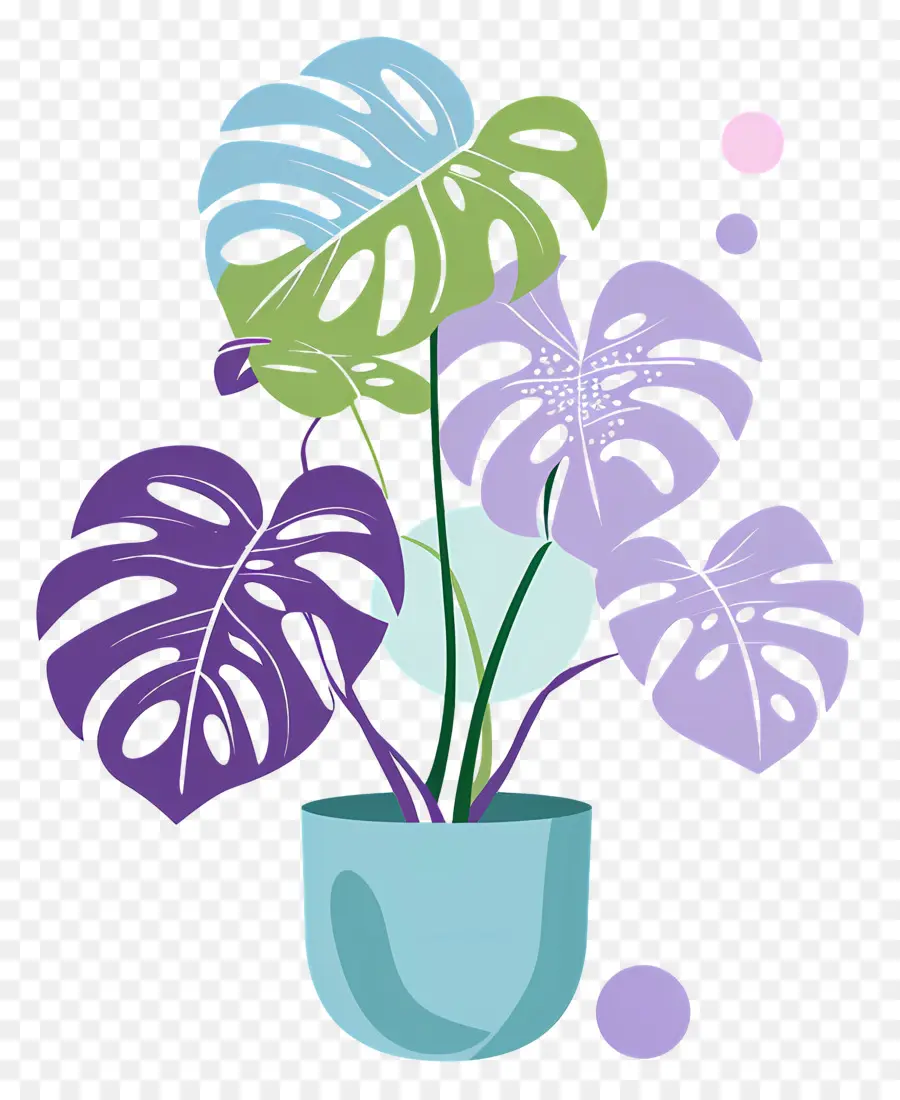 Planta Monstro，Plantar PNG