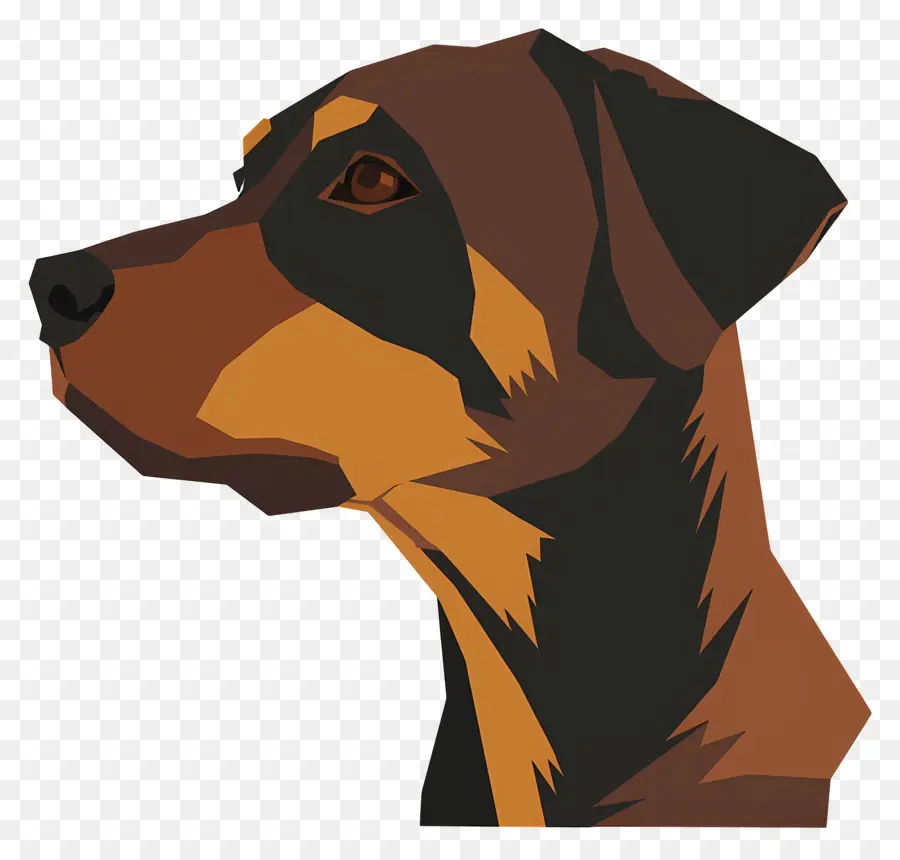 Cabeça De Cachorro，Perfil De Cachorro PNG