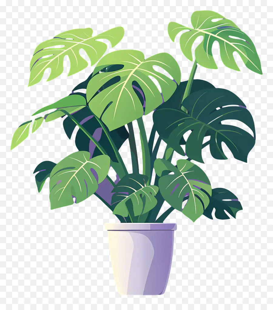 Planta Monstro，Plantar PNG