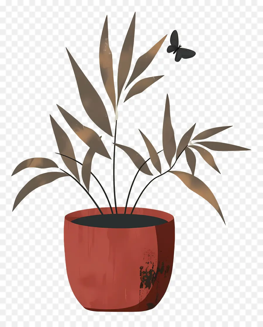 Samambaia，Planta Em Vaso PNG