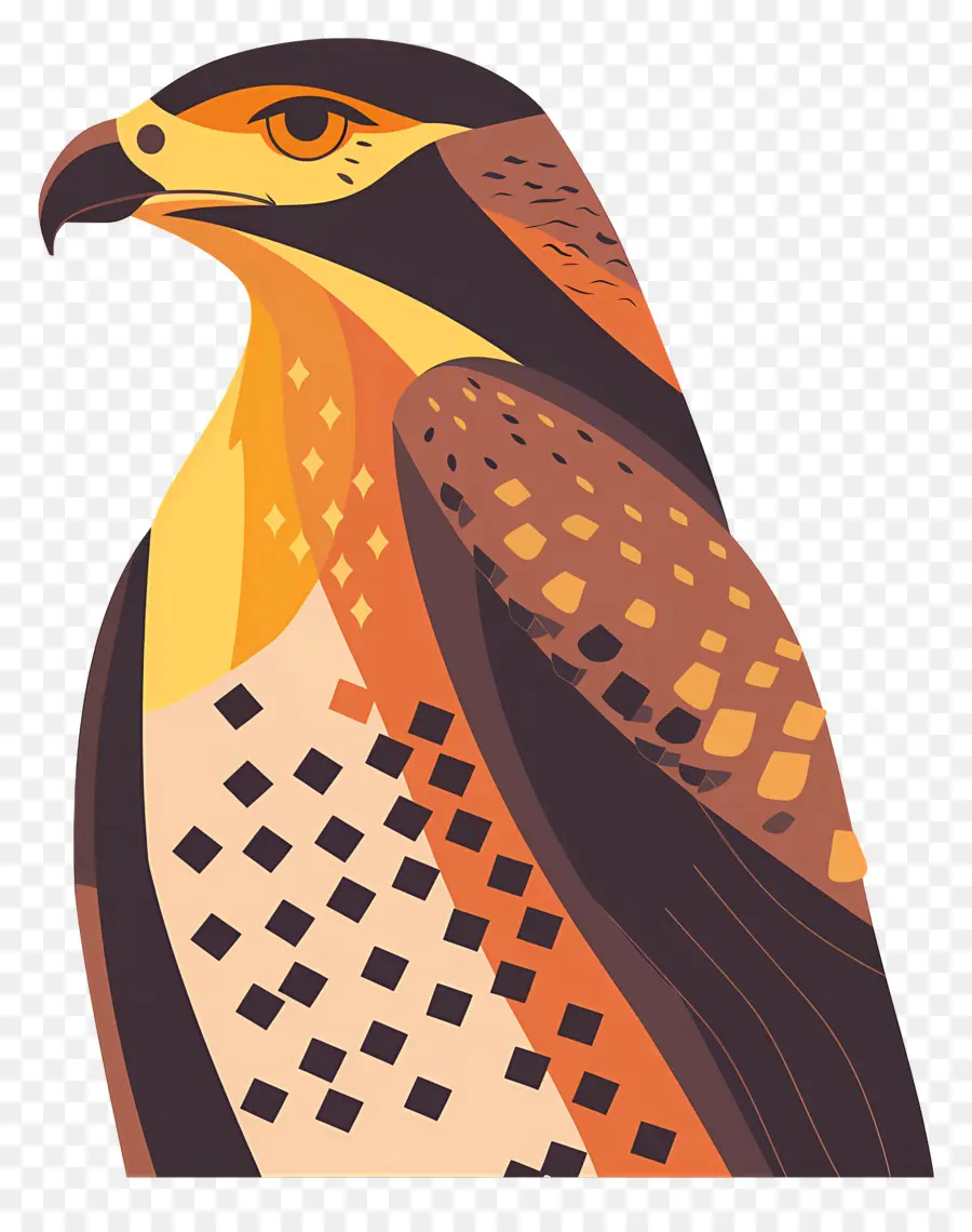 Cartoon Hawk，Hawk PNG