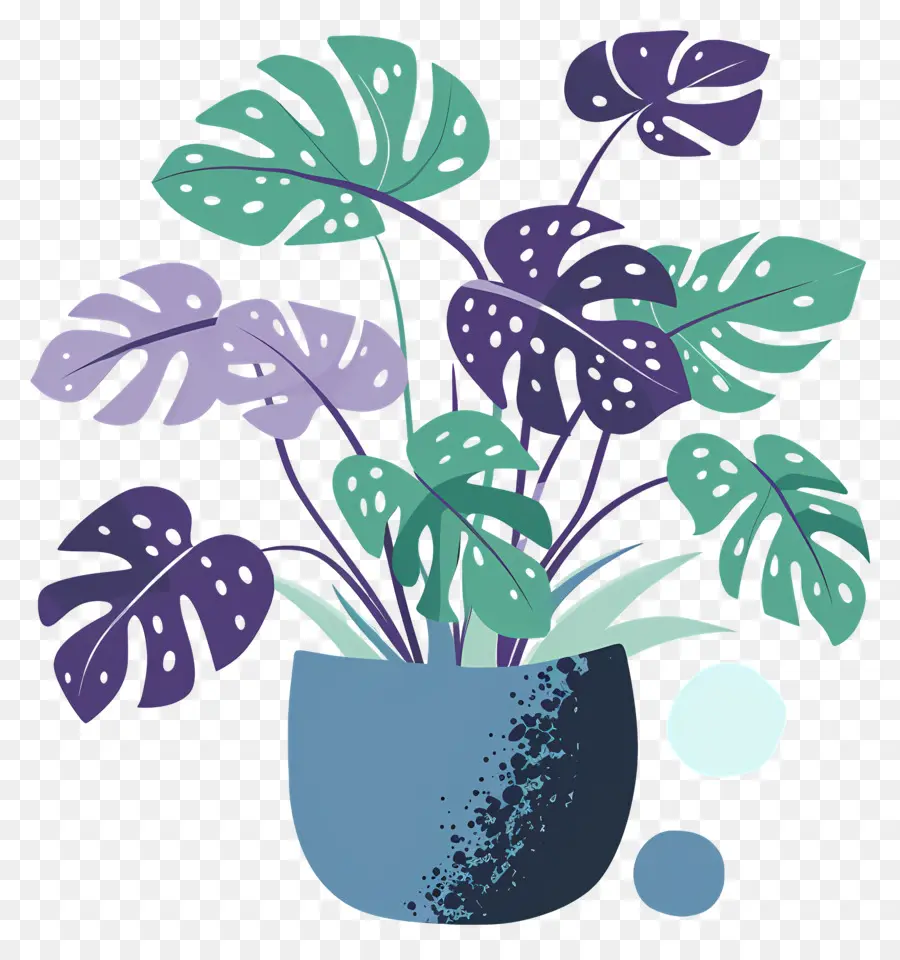 Planta Monstro，Plantar PNG