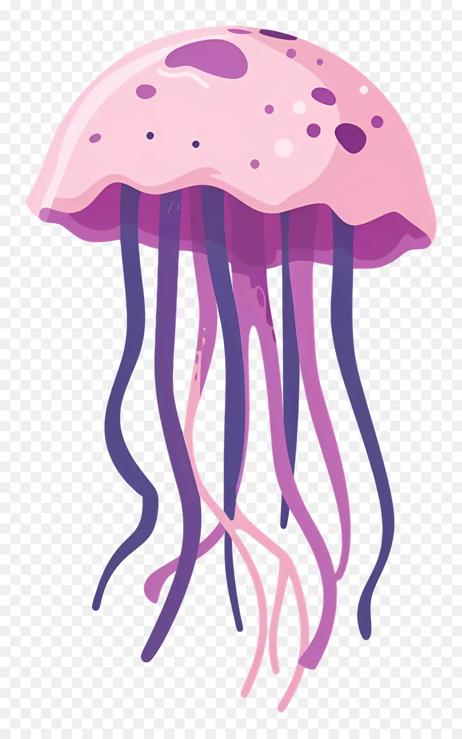 Geléia，Medusa PNG