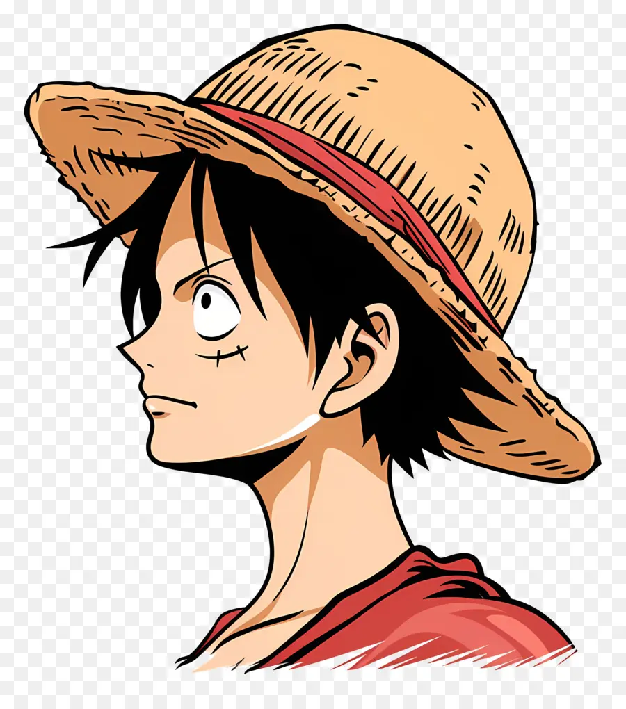 Cabeça De Luffy，Personagem De Anime PNG