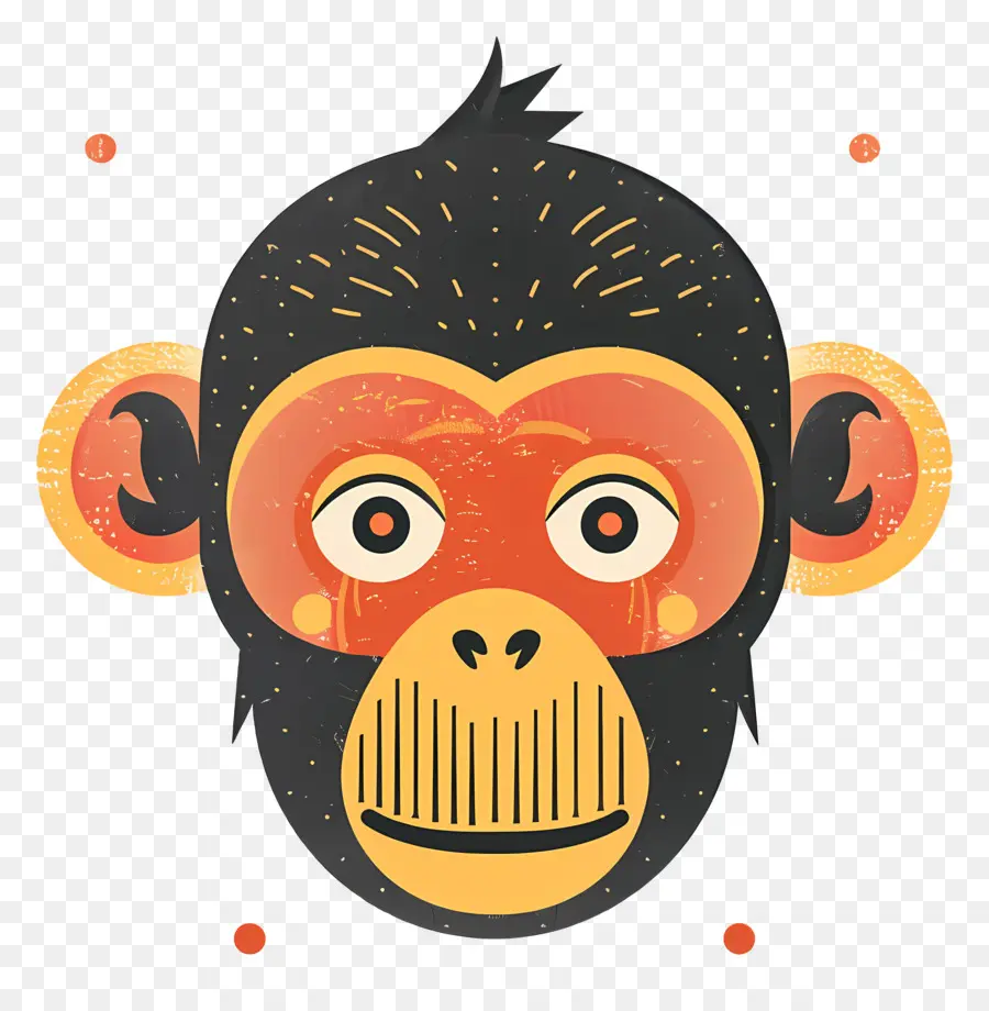 Cabeça De Macaco，Cara De Macaco PNG