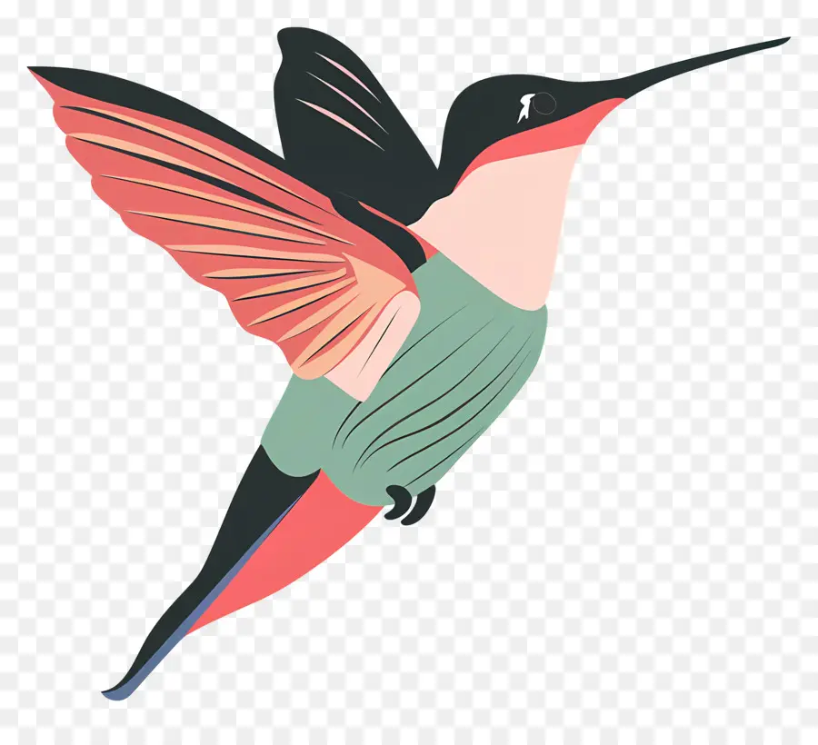 Beija Flor De Desenho Animado，Colibri PNG