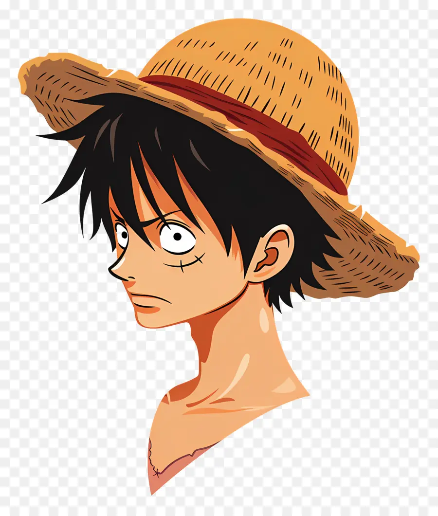 Cabeça Luffy，Homem PNG