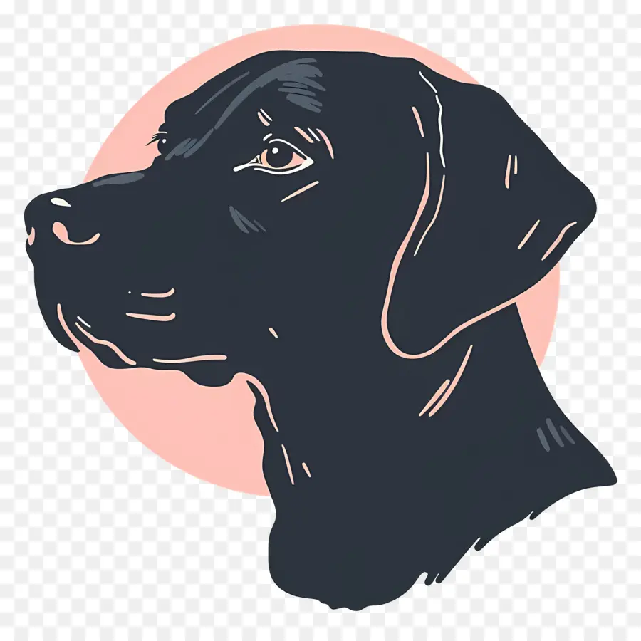 Cabeça De Cachorro，Cachorro PNG