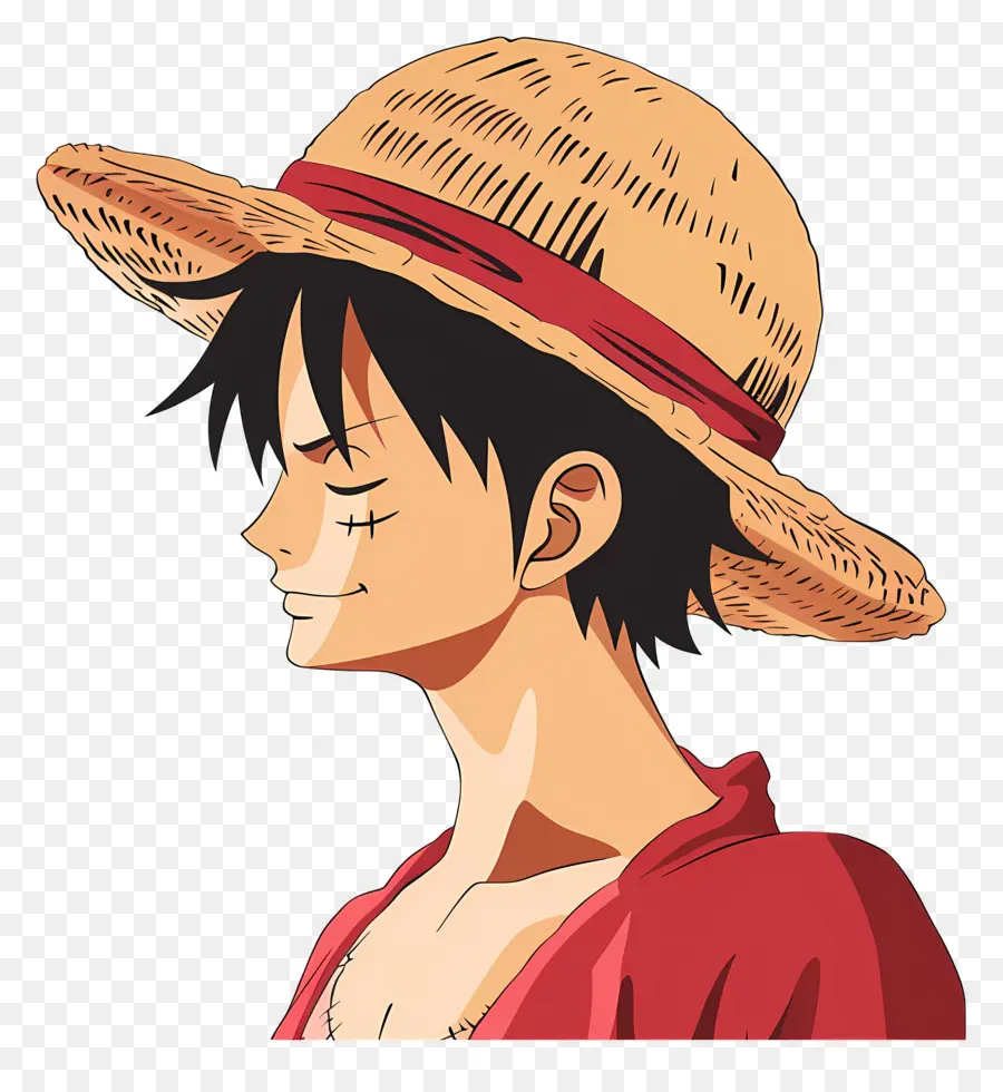 Cabeça De Luffy，Personagem Do Chapéu De Palha PNG