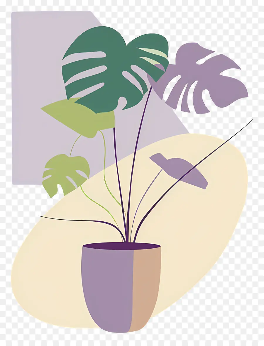 Planta Monstro，Planta Em Vaso PNG