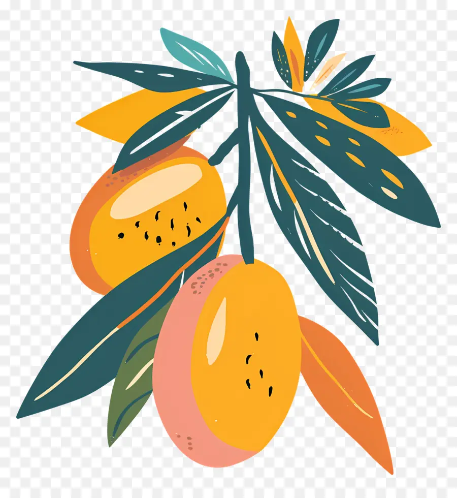 Mango，Laranja PNG