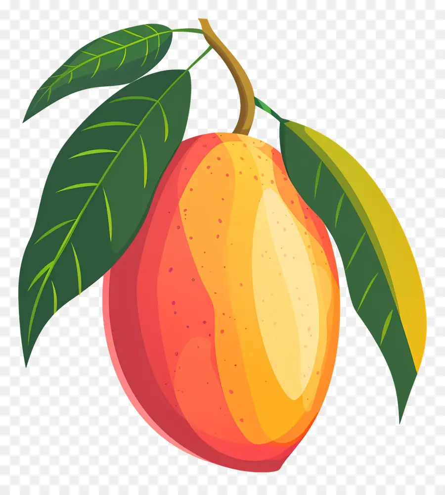 Mango，Frutas PNG