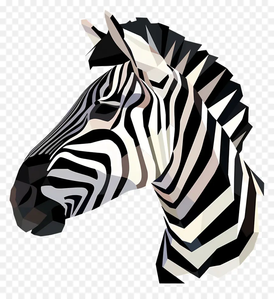 Zebra De Descarga，Zebra PNG