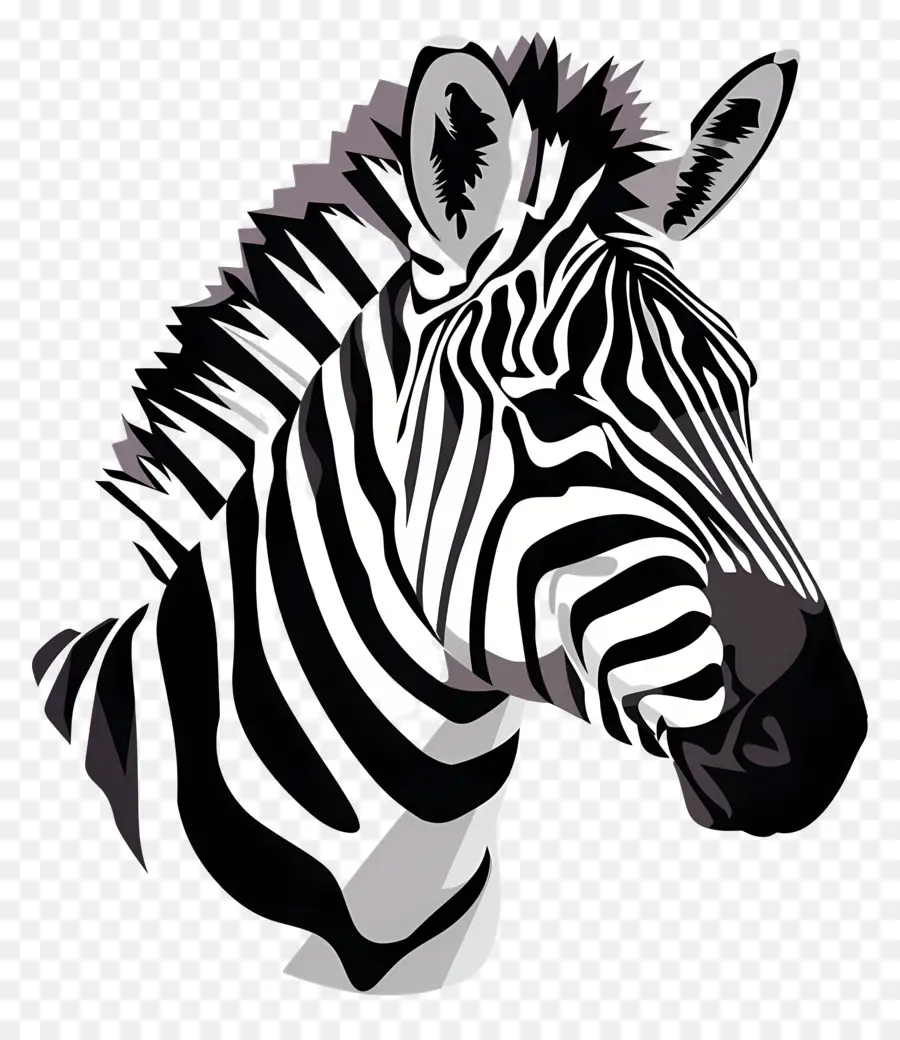 Cabeça De Zebra，Zebra PNG