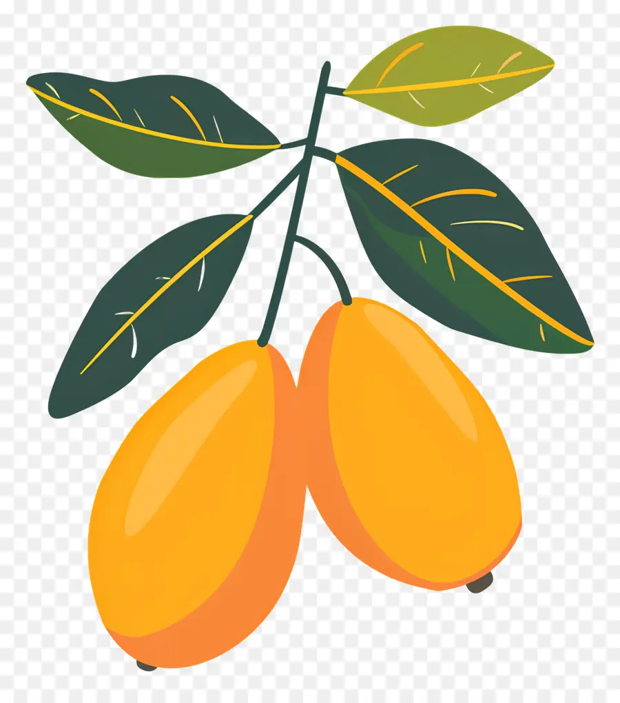 Mango，Frutas Cítricas PNG