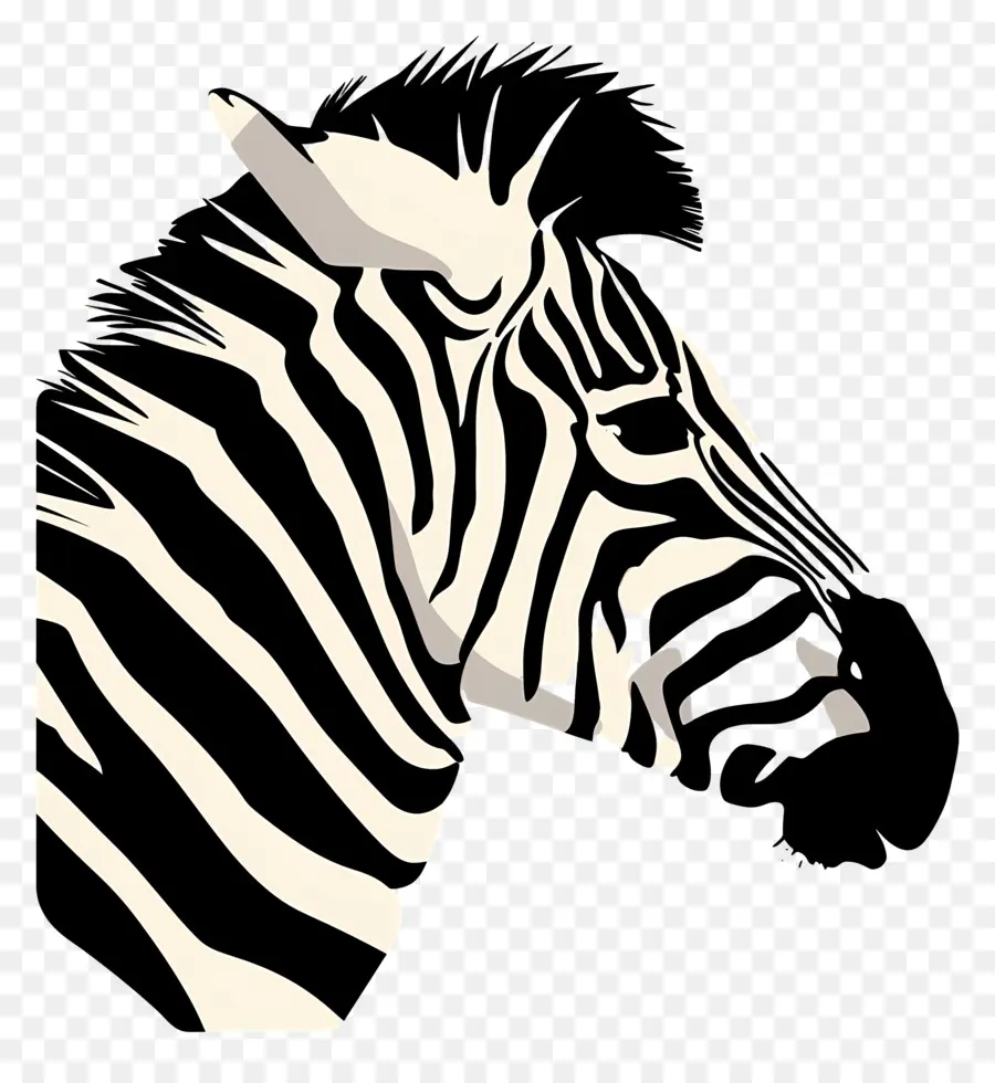 Cabeça De Zebra，Zebra PNG