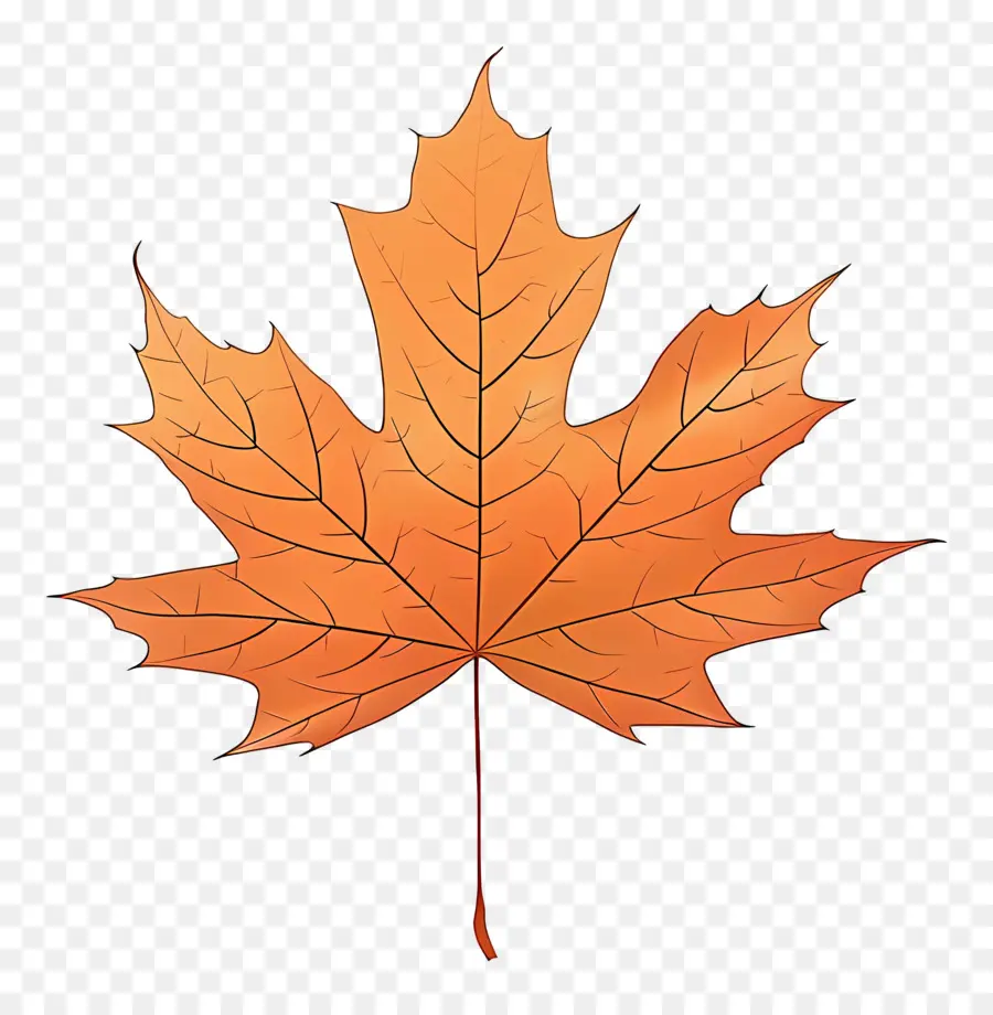 Maple Leaf，Folha Caída PNG