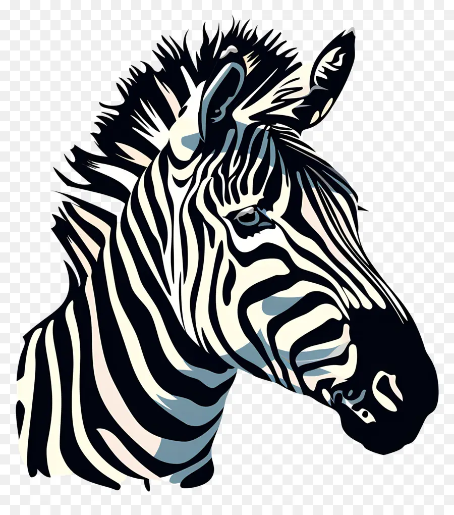 Zebra De Descarga，Zebra PNG