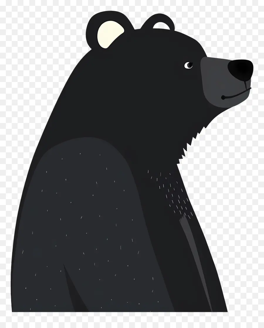 Urso，Urso Preto PNG