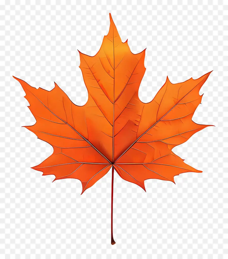 Maple Leaf，Laranja PNG