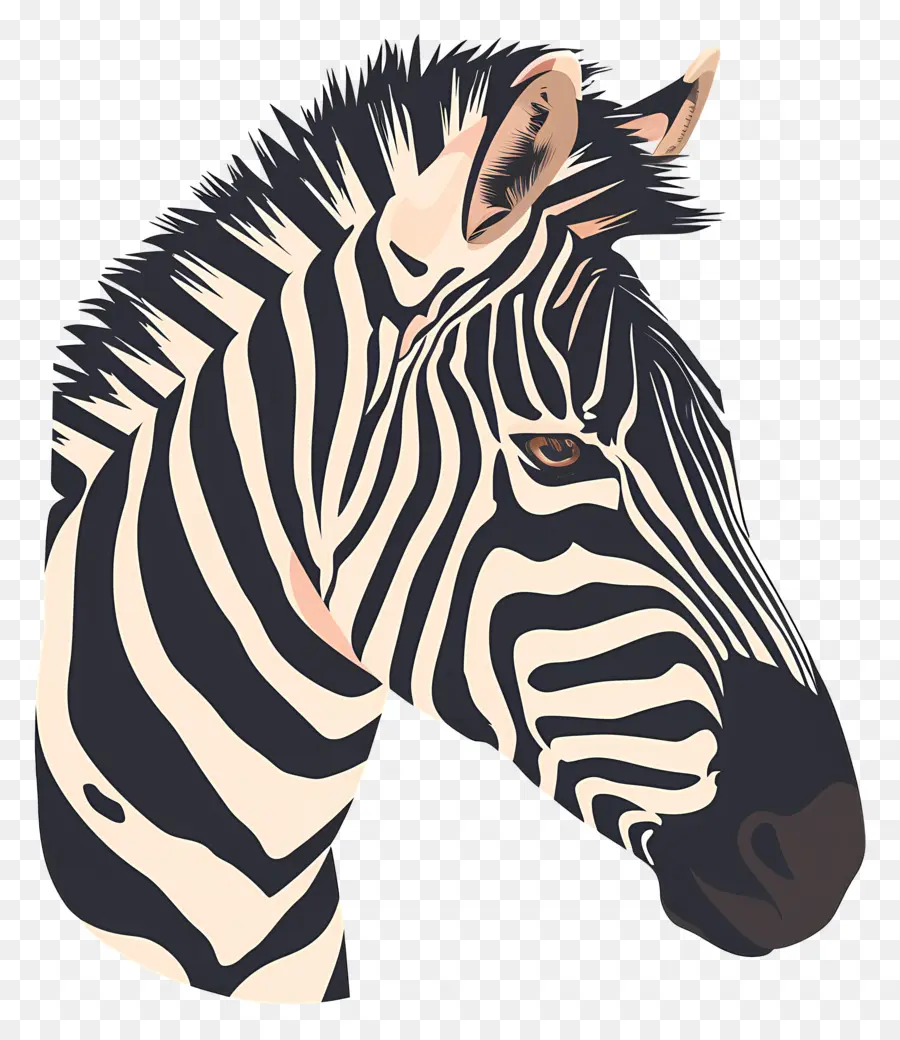 Zebra De Descarga，Zebra PNG