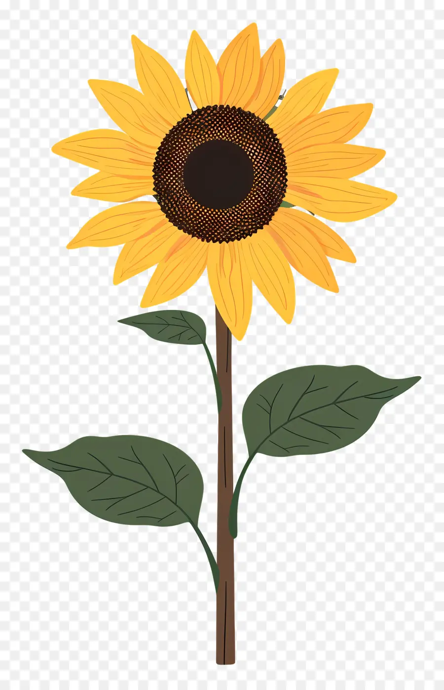 Girassol，Flor PNG