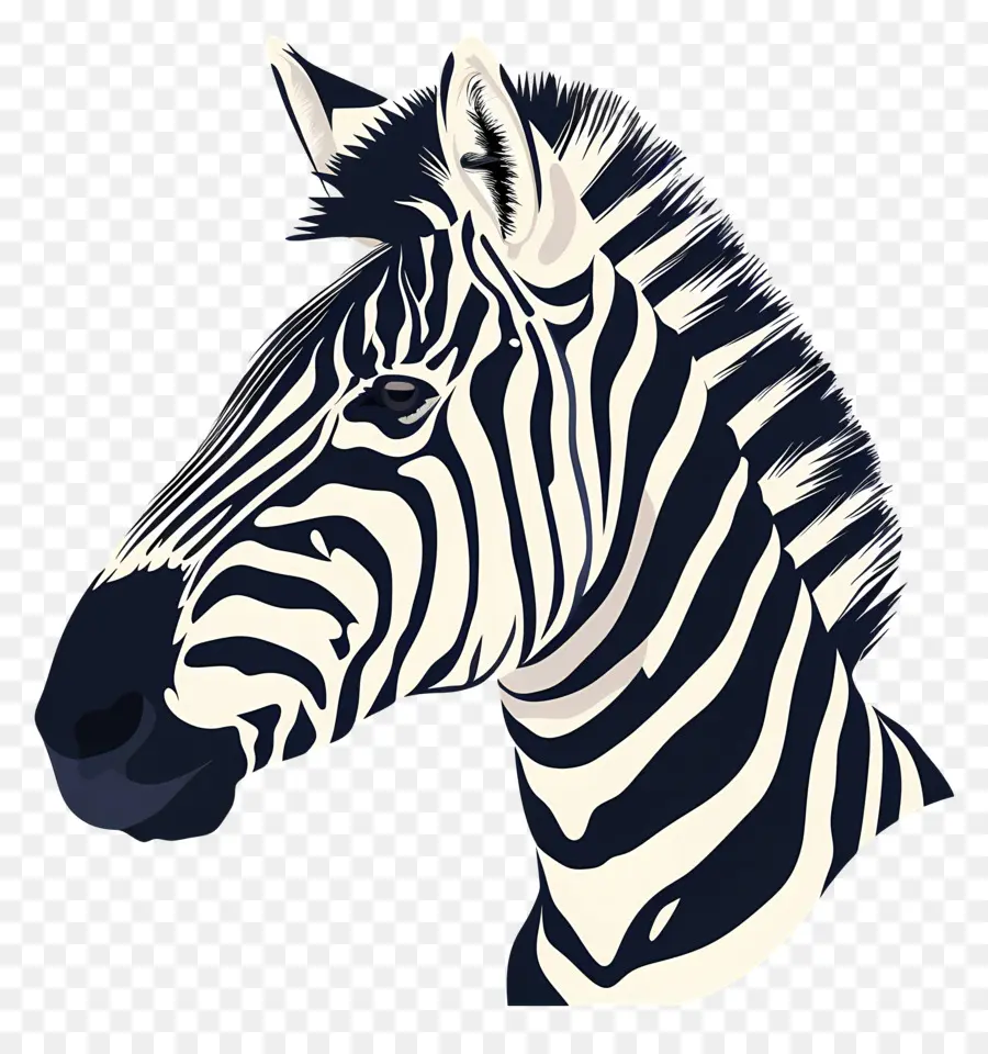 Zebra De Descarga，Zebra PNG